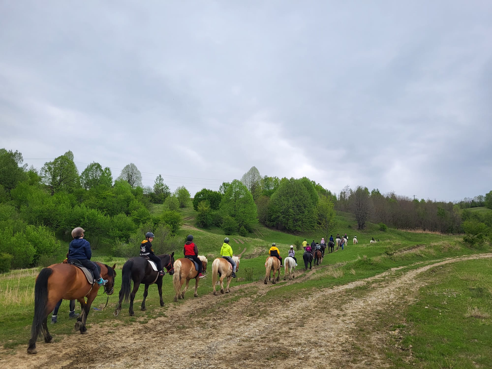 Din activitatea clubului