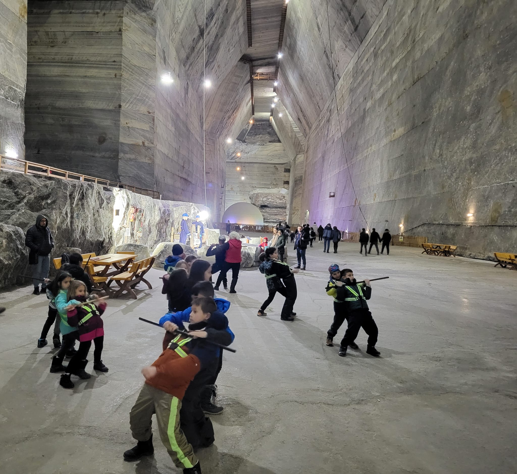Din activitatea clubului