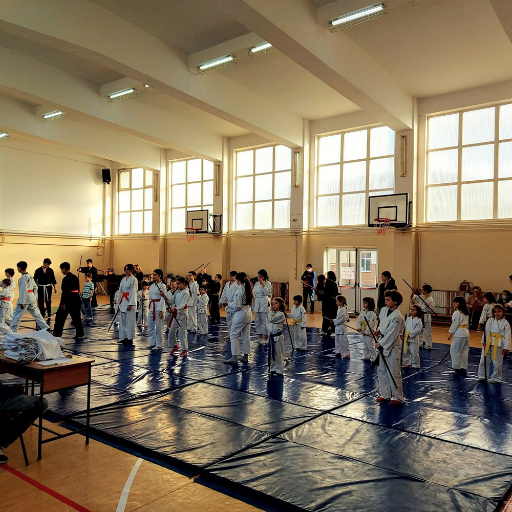 Aikido Copii