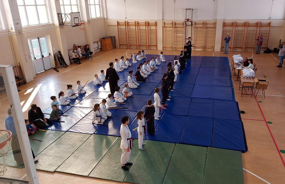 Aikido Copii
