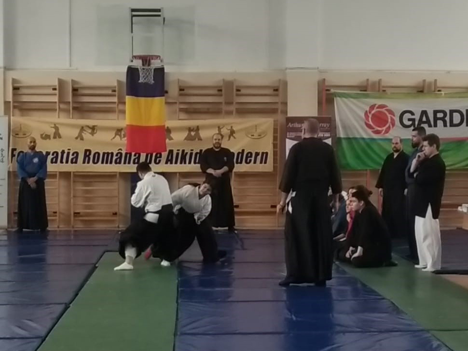 Aikido Tineret