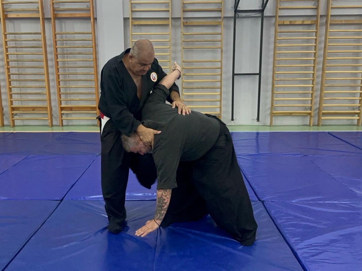 Aikido Seniori