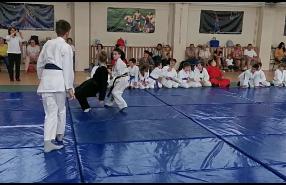 Aikido Tineret
