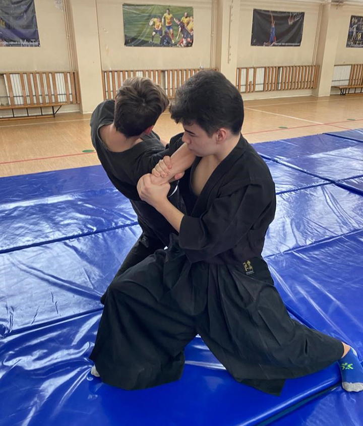 Aikido pentru Tineret