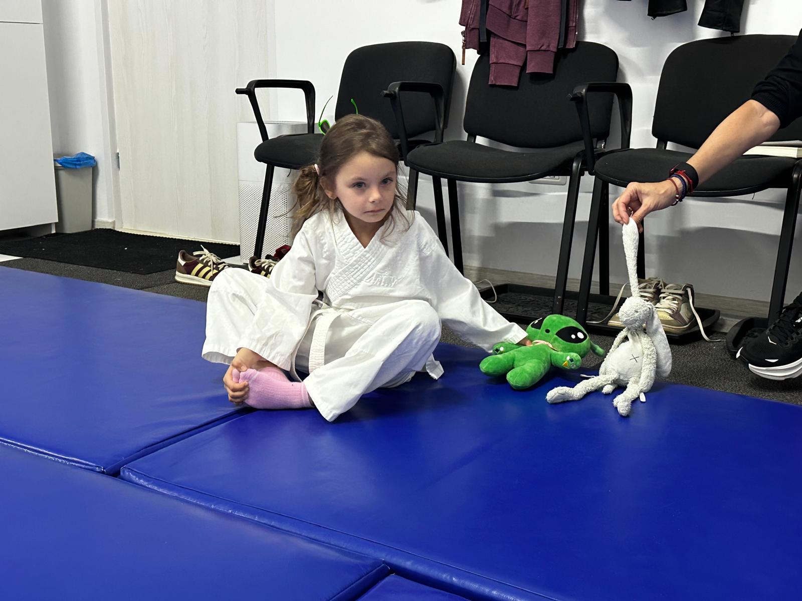 Antrenamente în dojo
