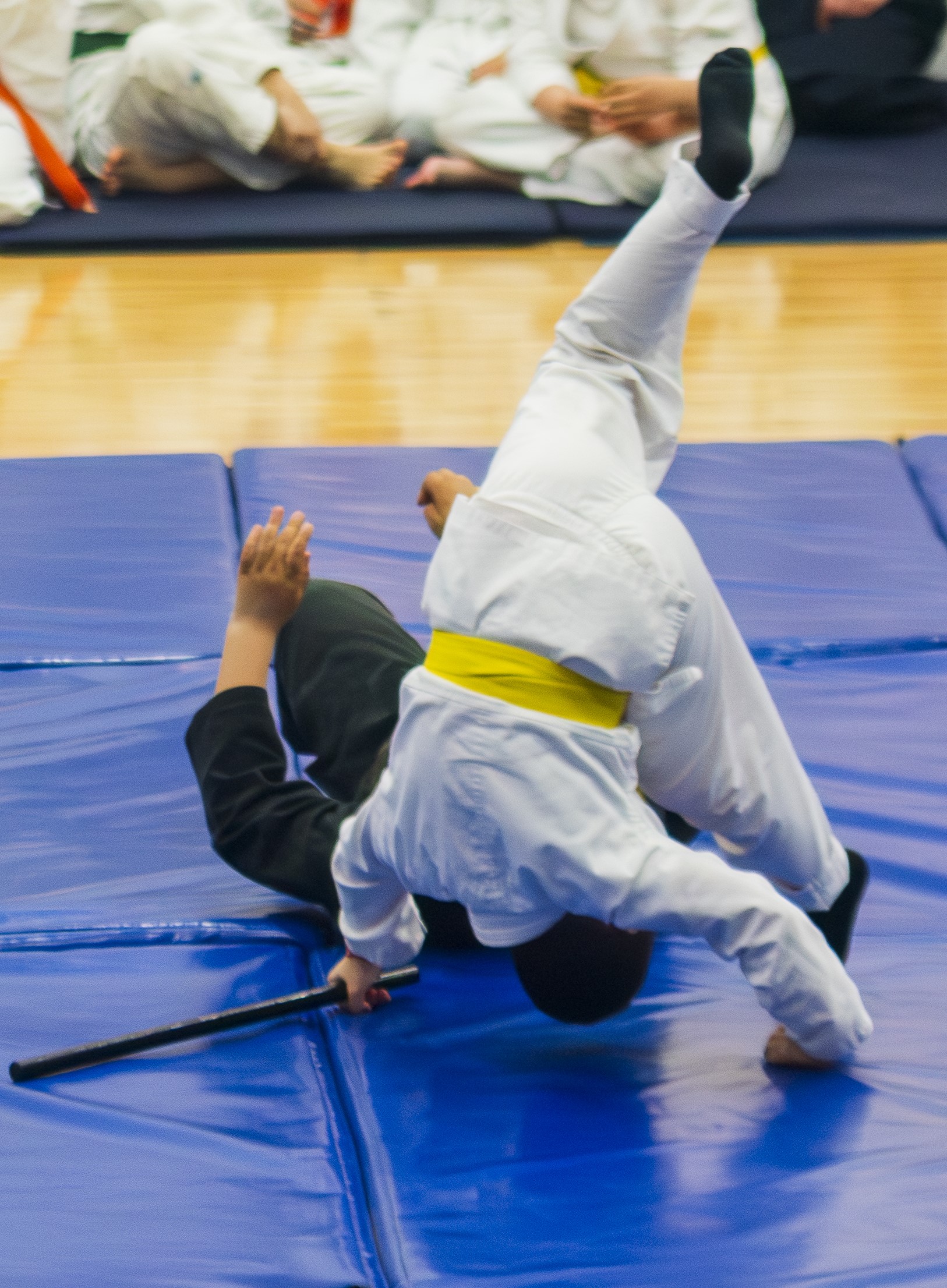 Festival Aikido