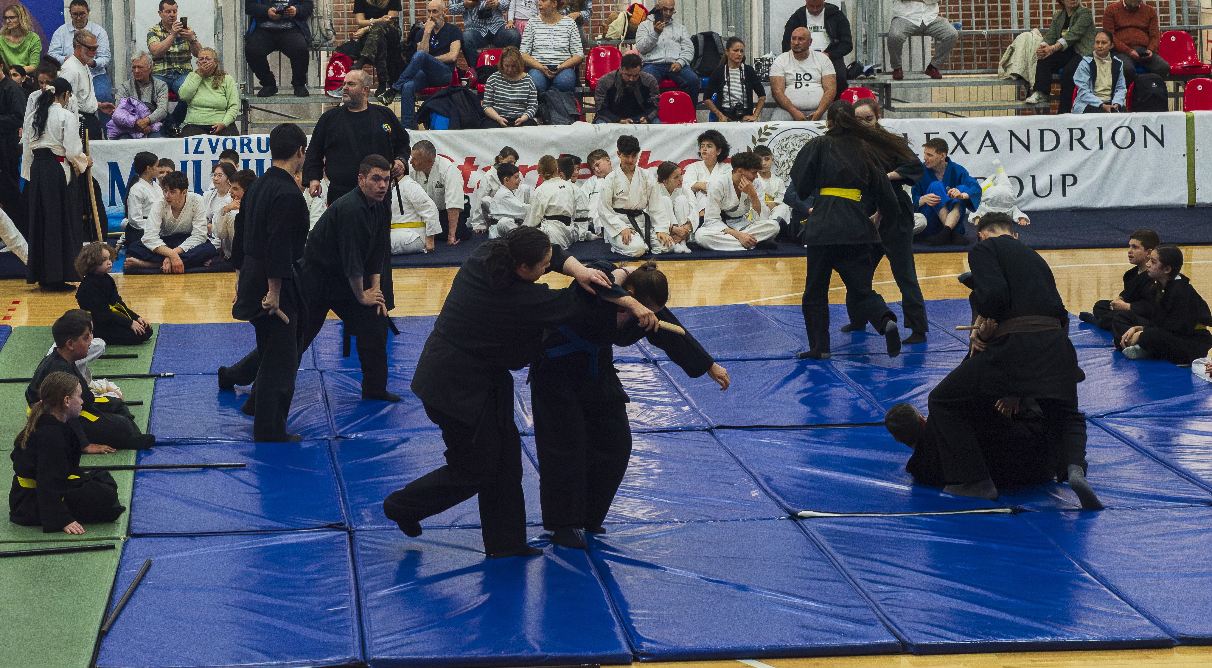 Festival Aikido