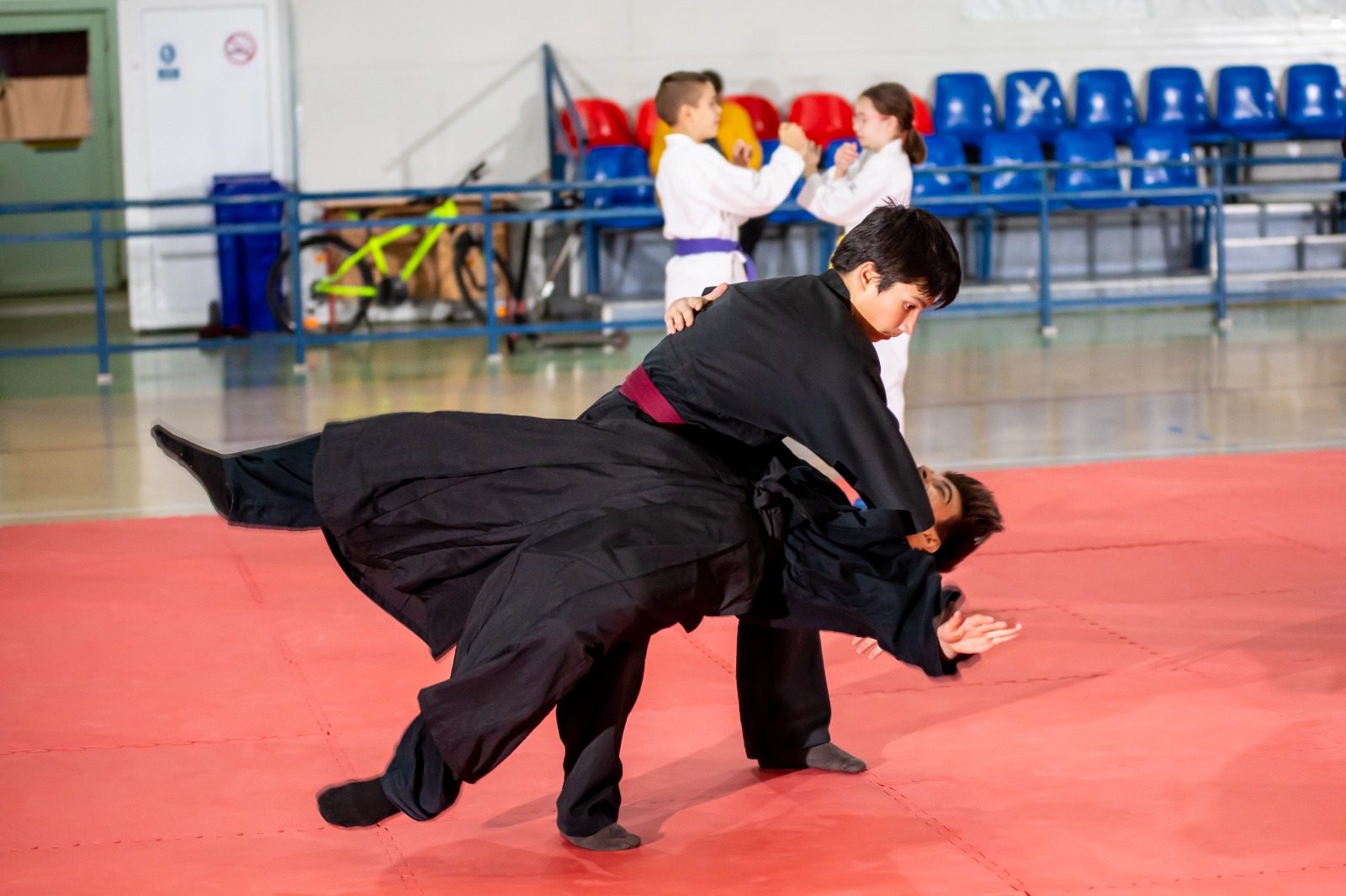 Aikido copii și tineret – grupa 2