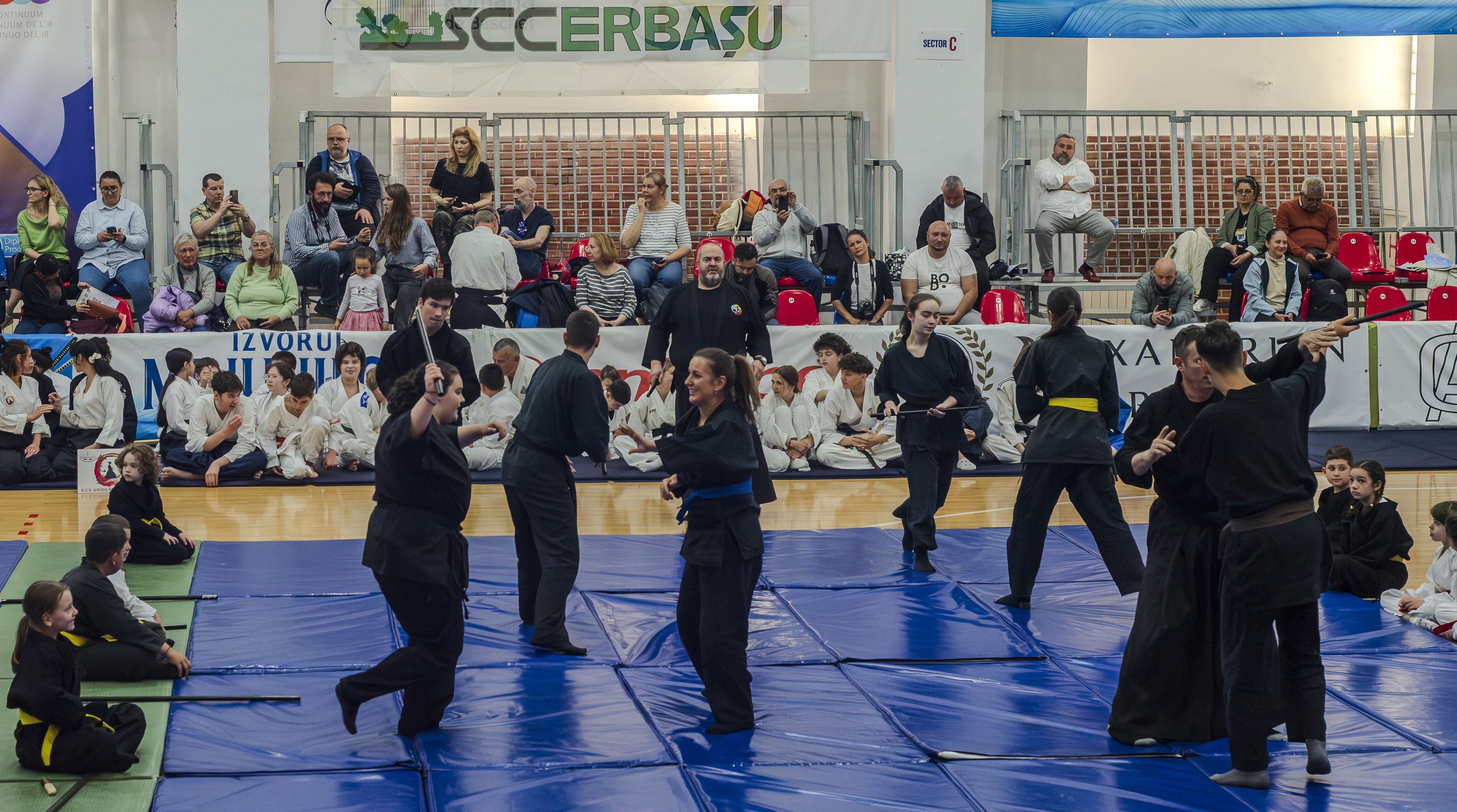Festival Aikido