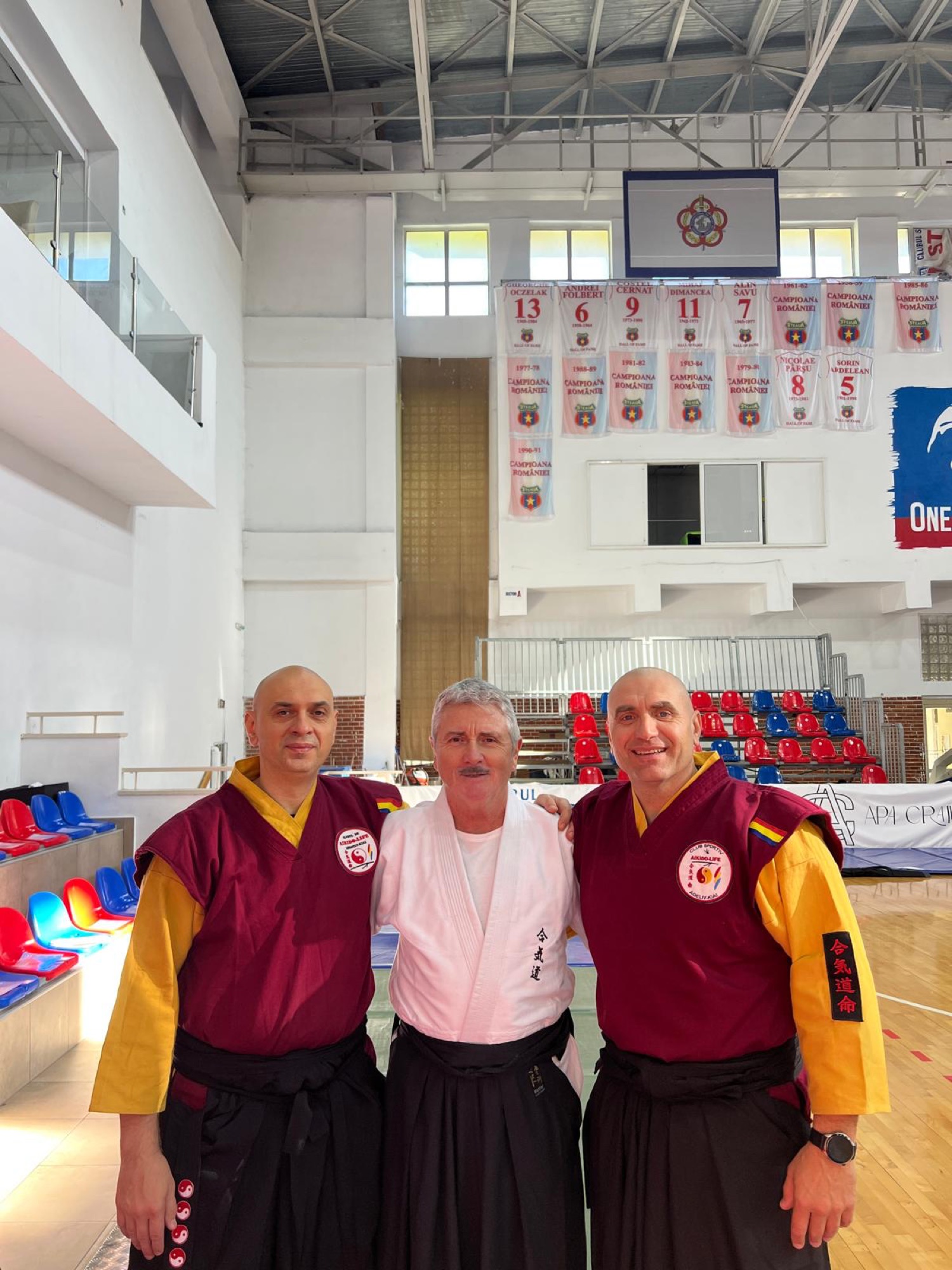 Festival de Aikido