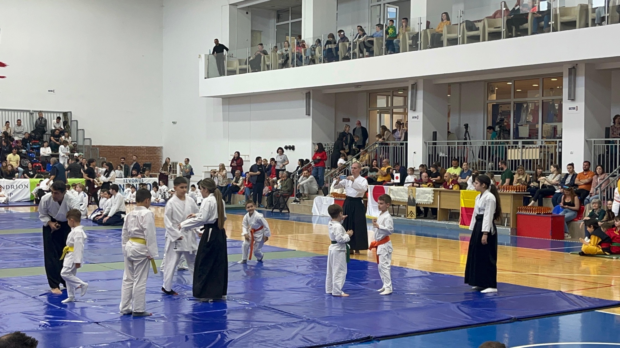 Festivalul de Aikido