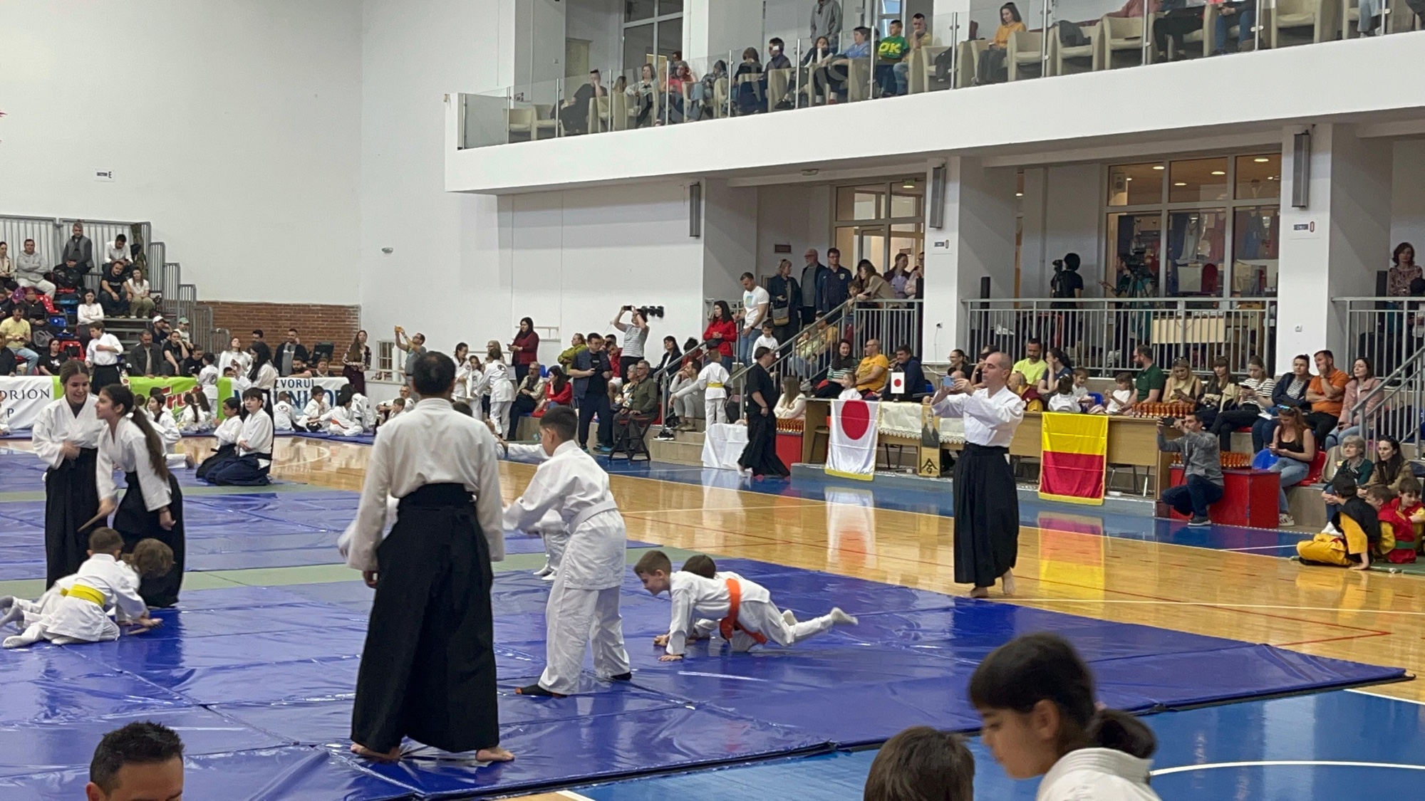 Festivalul de Aikido