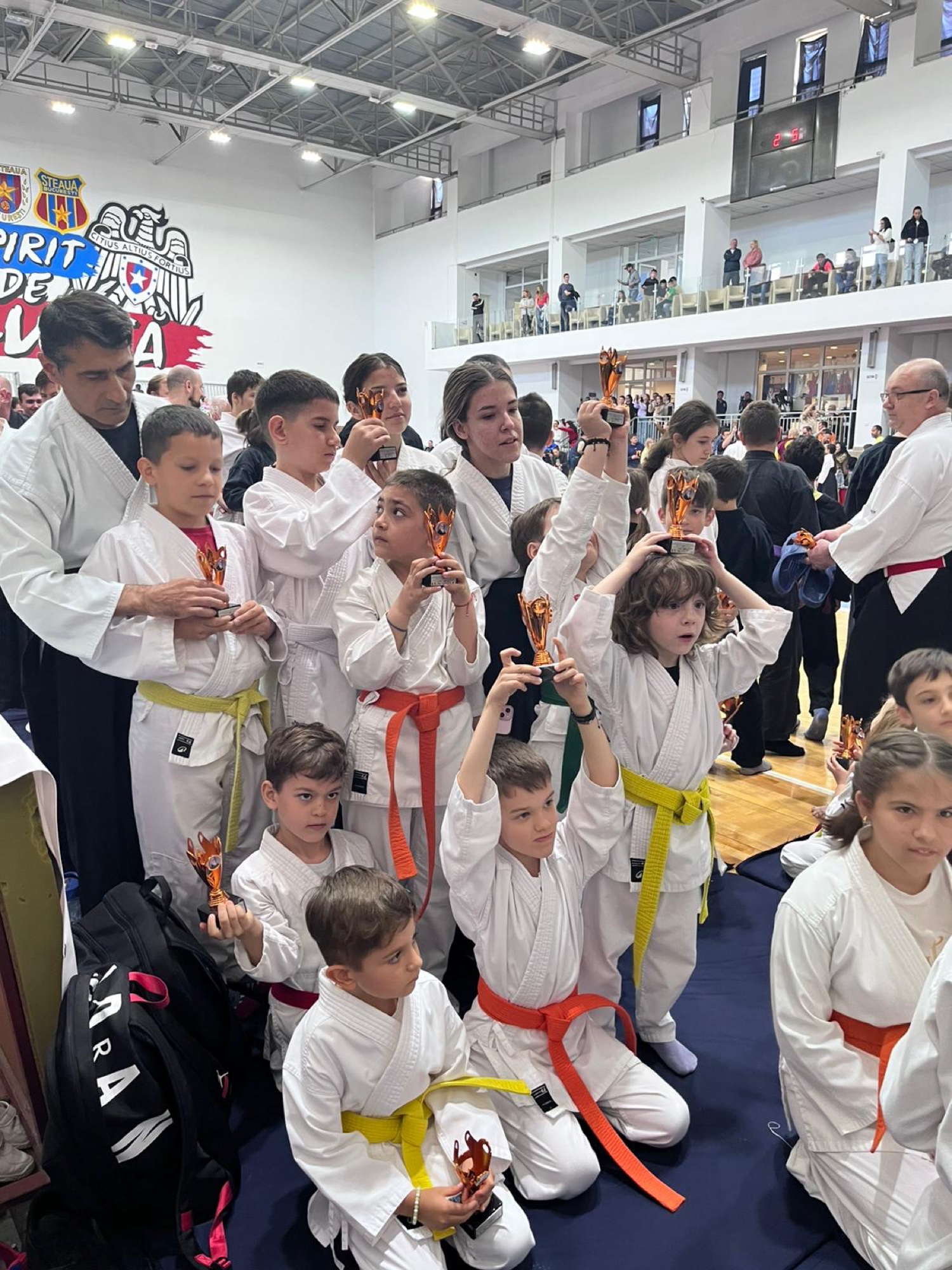 Festivalul de Aikido
