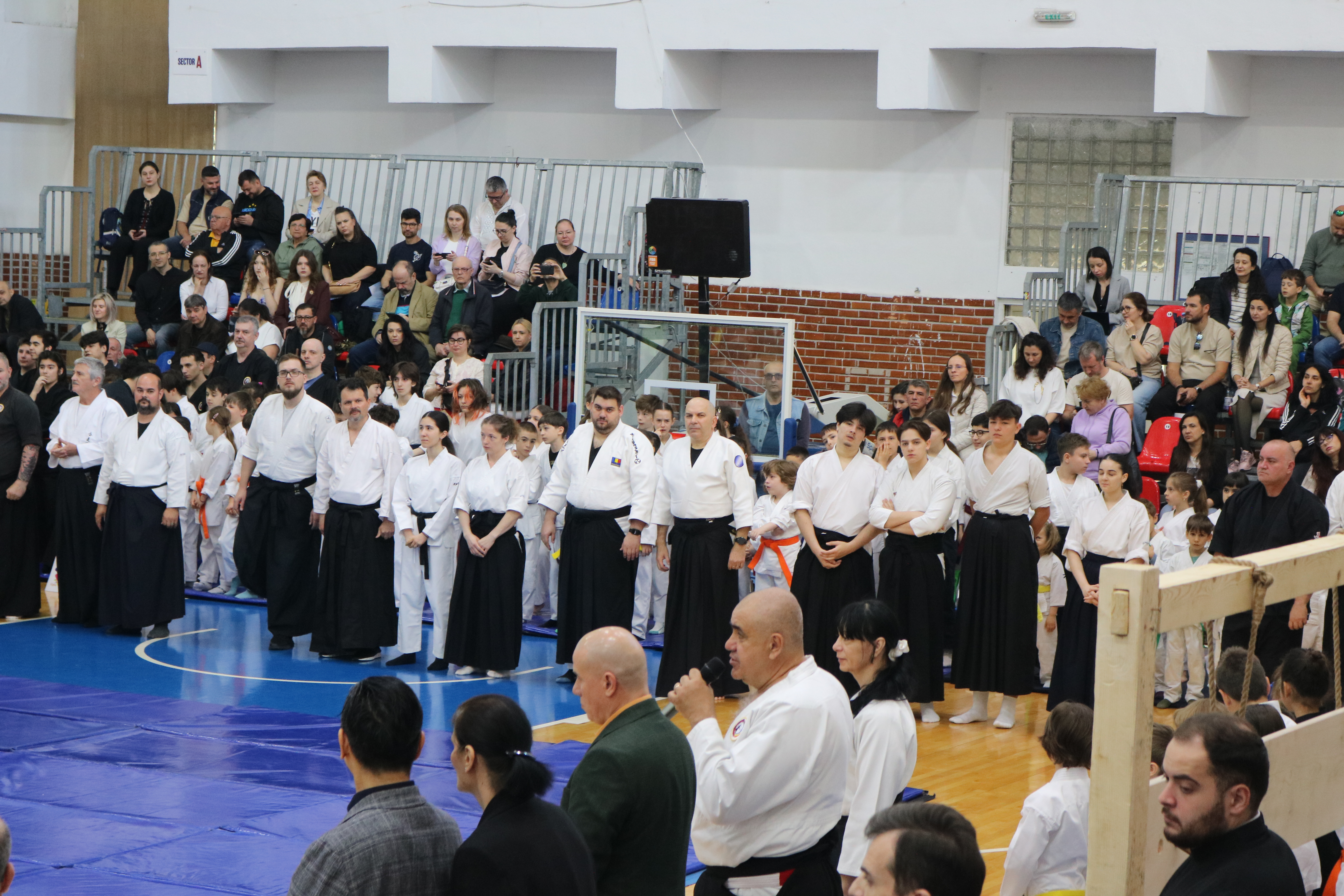 Aikido Adulți și Adolescenți