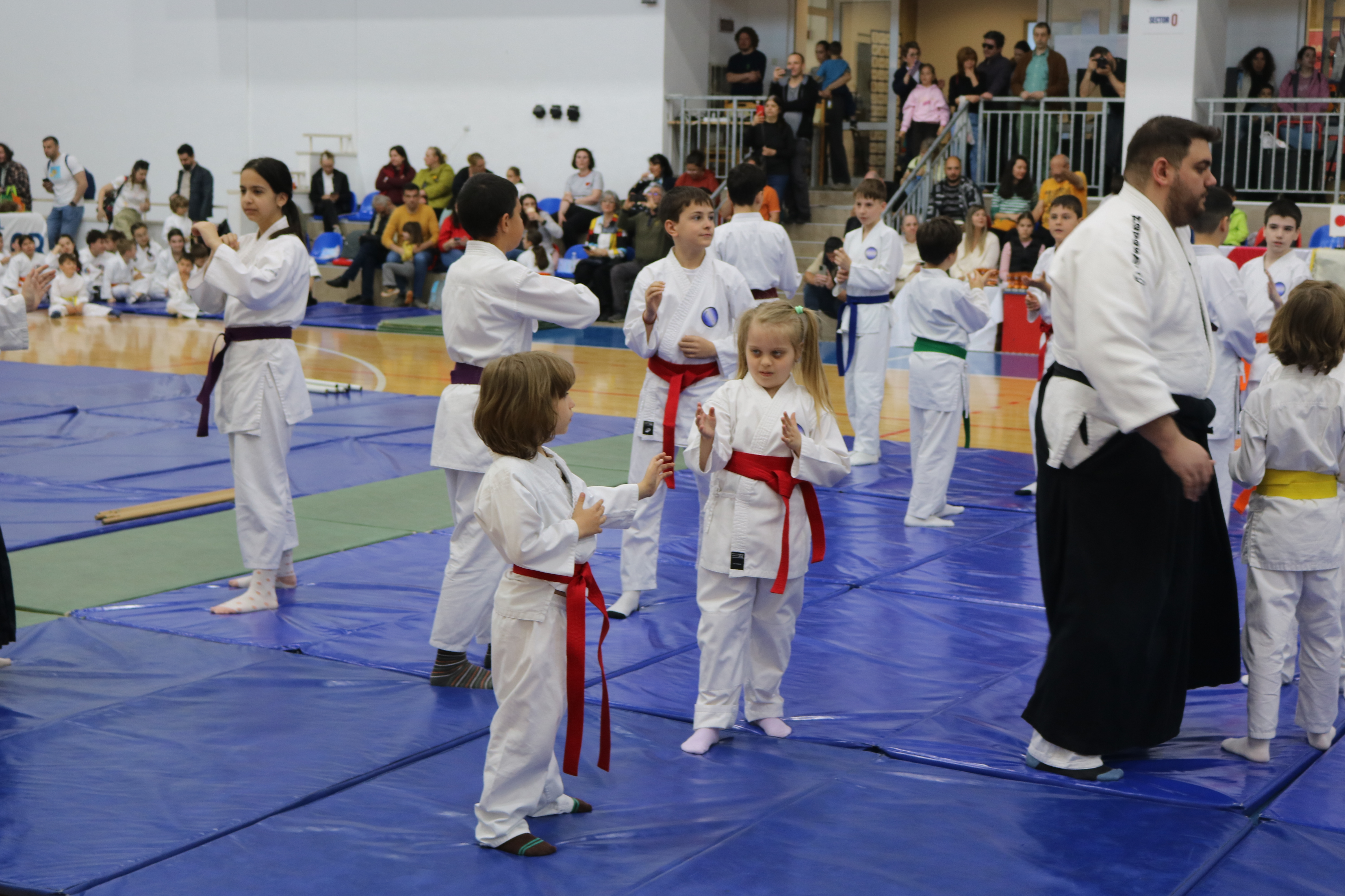 Aikido Copii (Grupa mare)