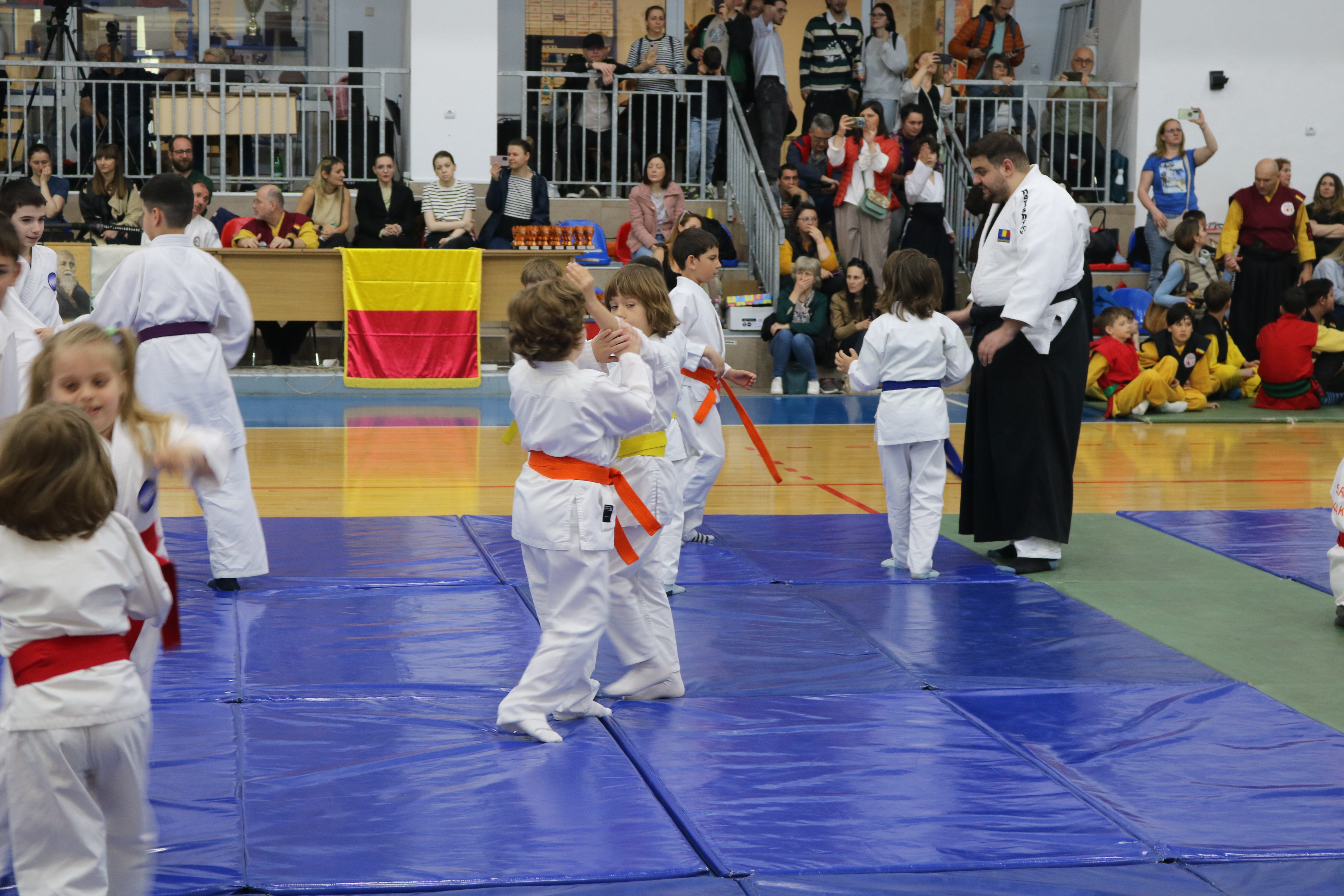 Aikido Copii (Grupa mică)