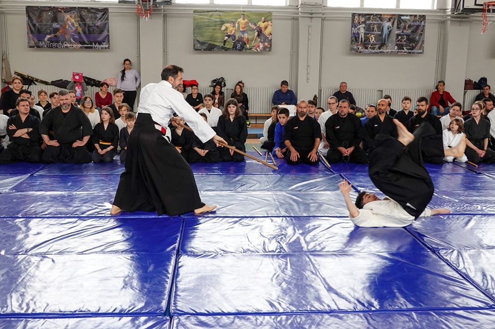 Aikido seniori