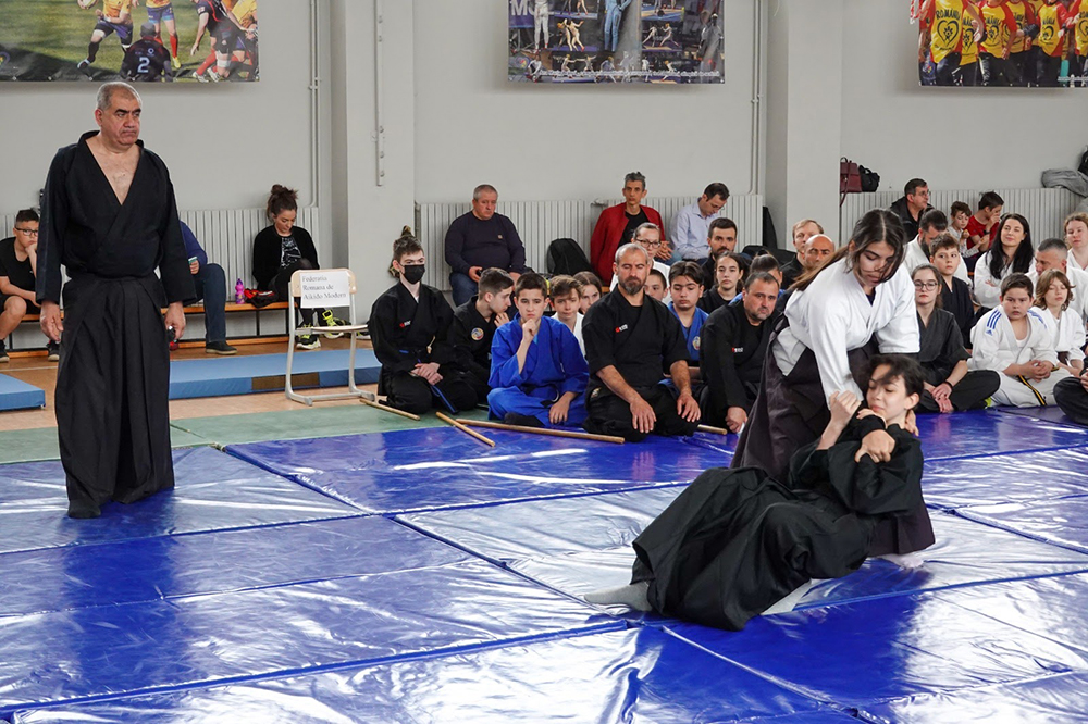Aikido tineret