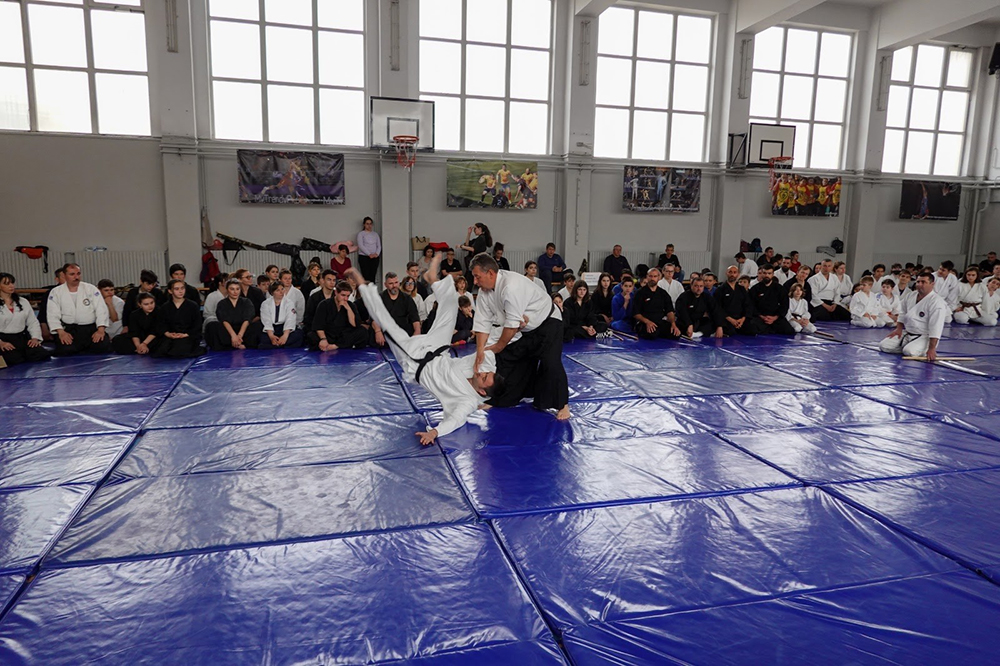 Aikido seniori