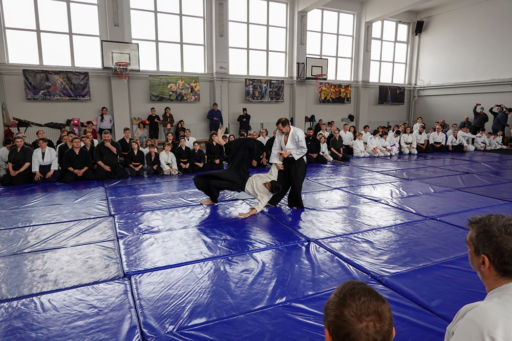 Aikido seniori