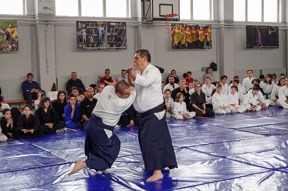 Aikido seniori