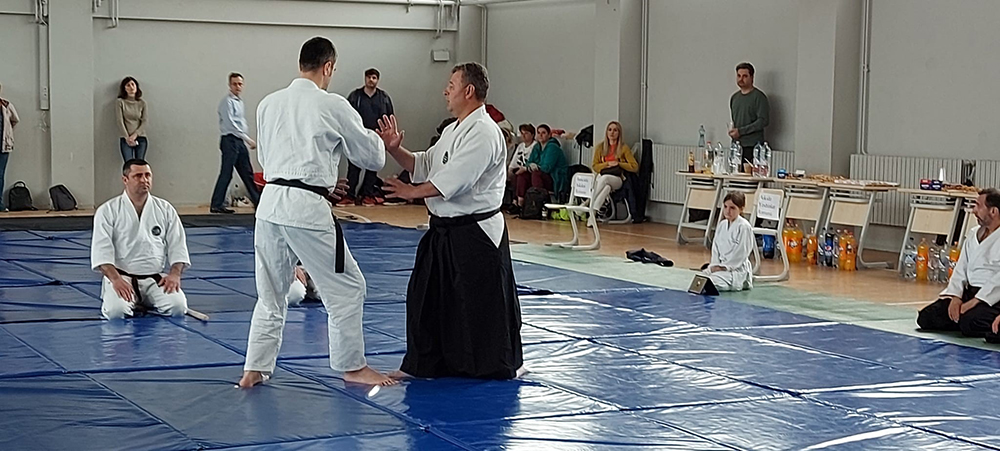 Aikido seniori