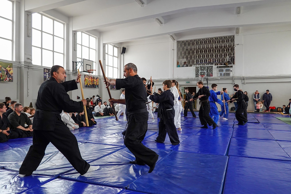 Aikido seniori