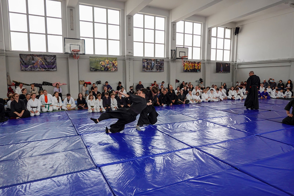 Aikido tineret