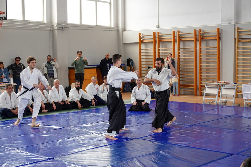 Aikido seniori