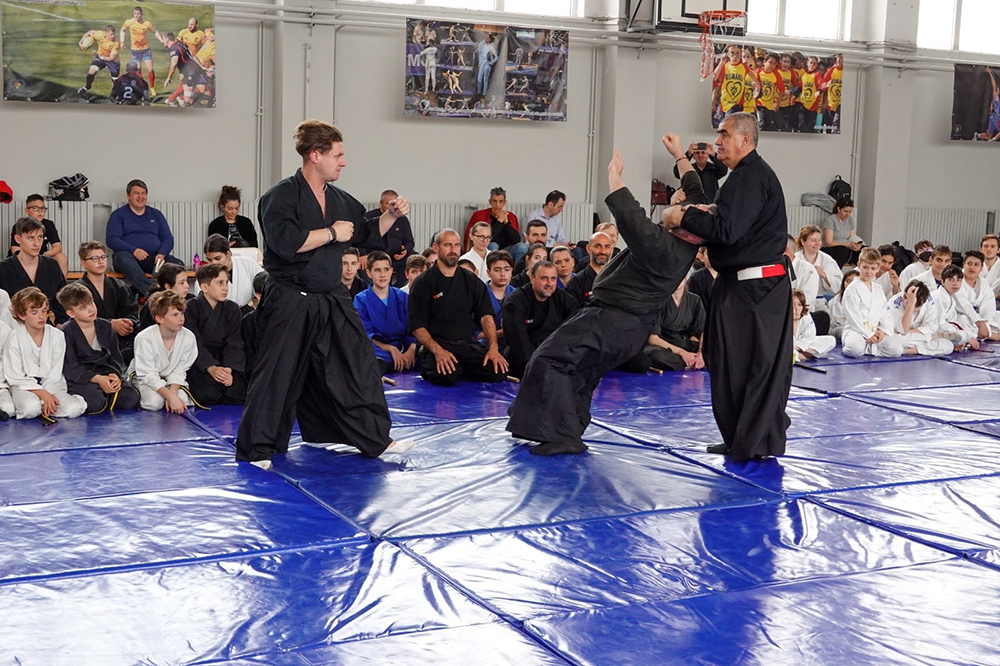 Aikido seniori